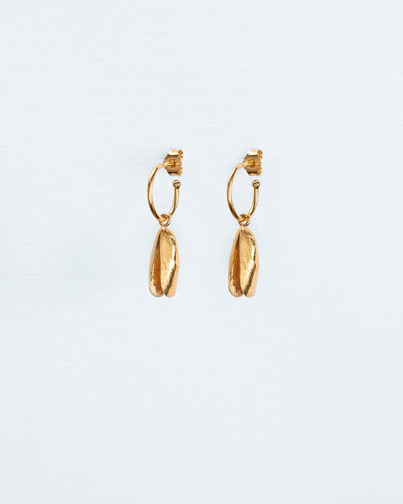 Mussel hoops