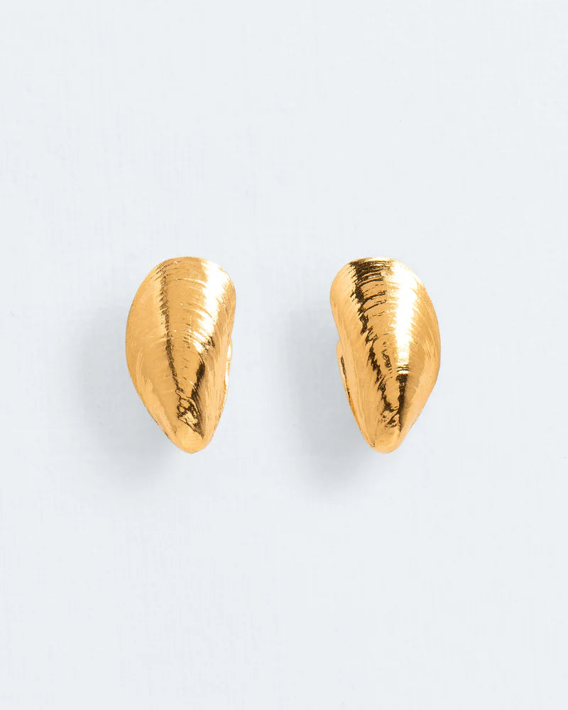Small mussel stud earrings
