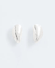 Small mussel stud earrings