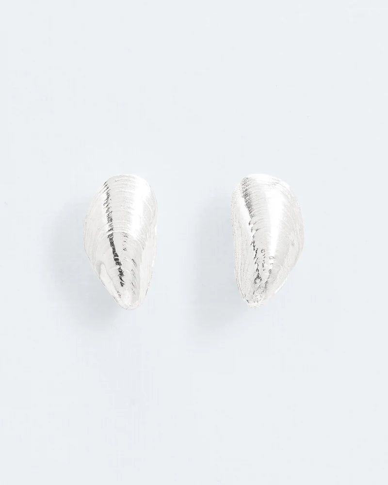 Small mussel stud earrings