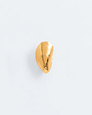 Single small mussel stud