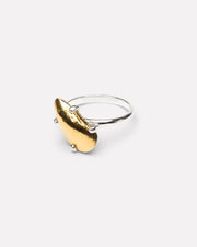Small mussel ring
