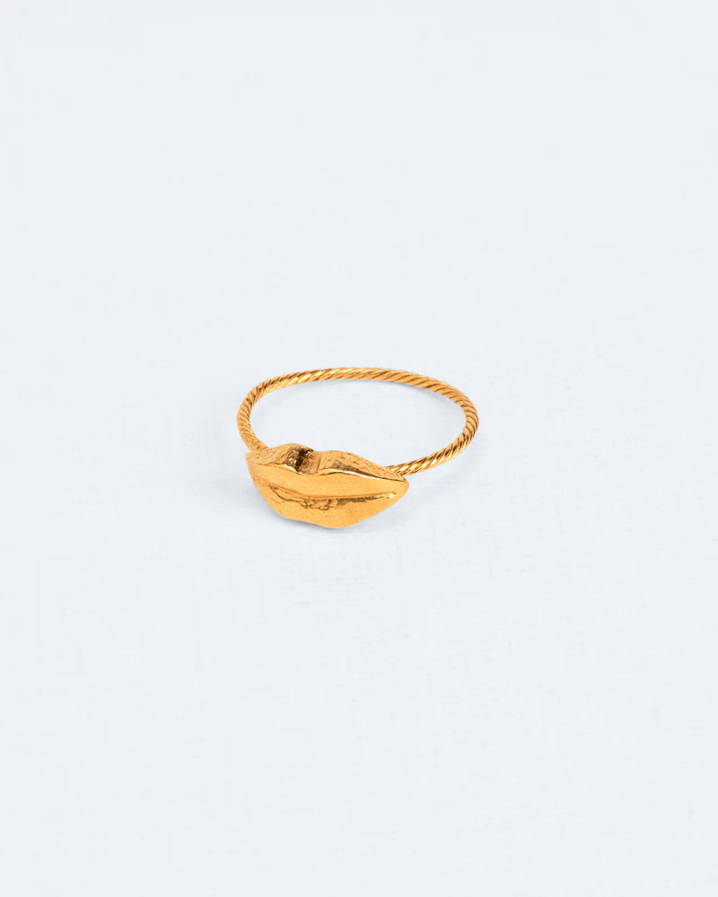Lip ring