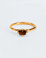 Organic ring with garnet
